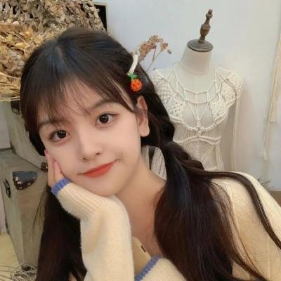 高达 G之复国运动